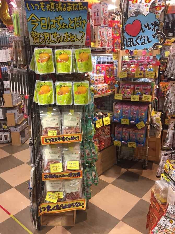 ヴィレッジヴァンガードイオンモール岡崎店()の店舗外観