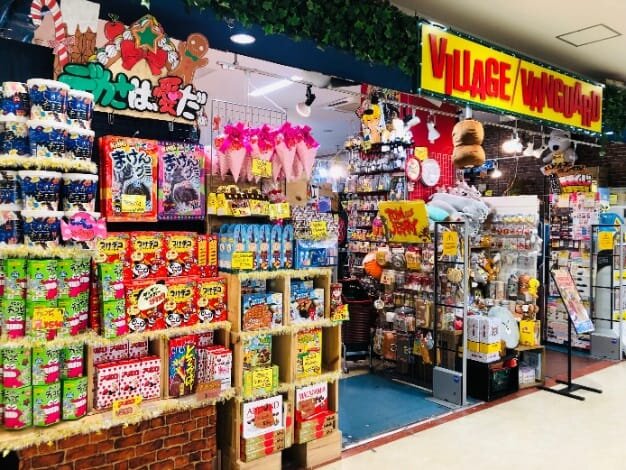 ヴィレッジヴァンガードイオン豊橋南店()の店舗外観