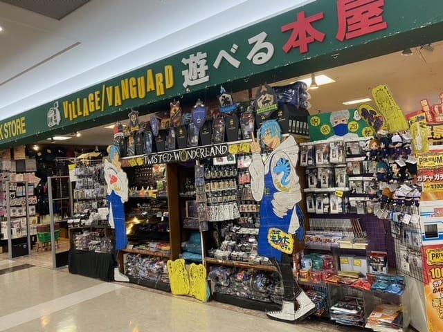 ヴィレッジヴァンガードイオンモール三光店（）の店舗外観