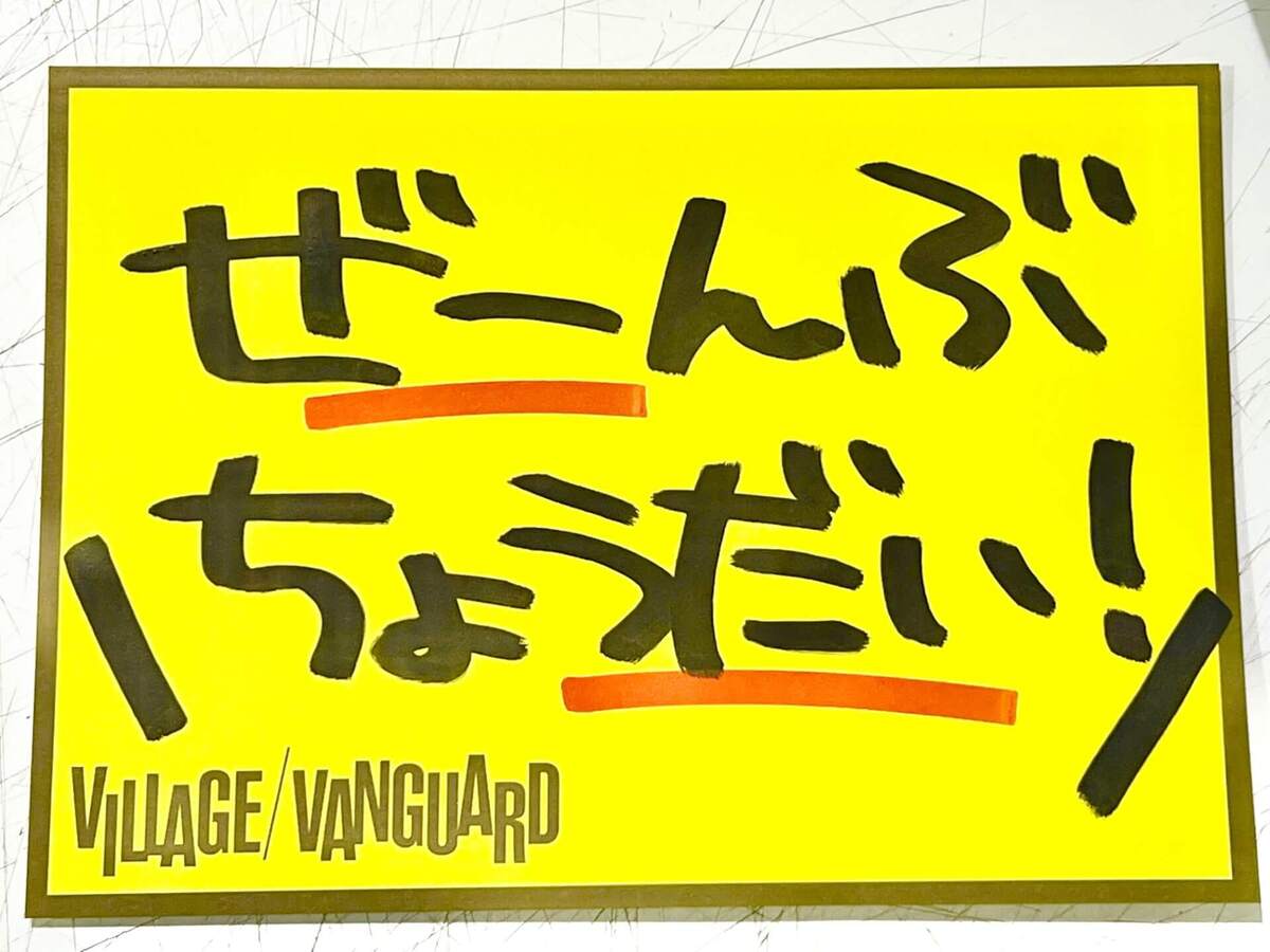 VVスタッフ】ヴィレヴァンで働いてたら物欲無限に湧いてくる【社員の