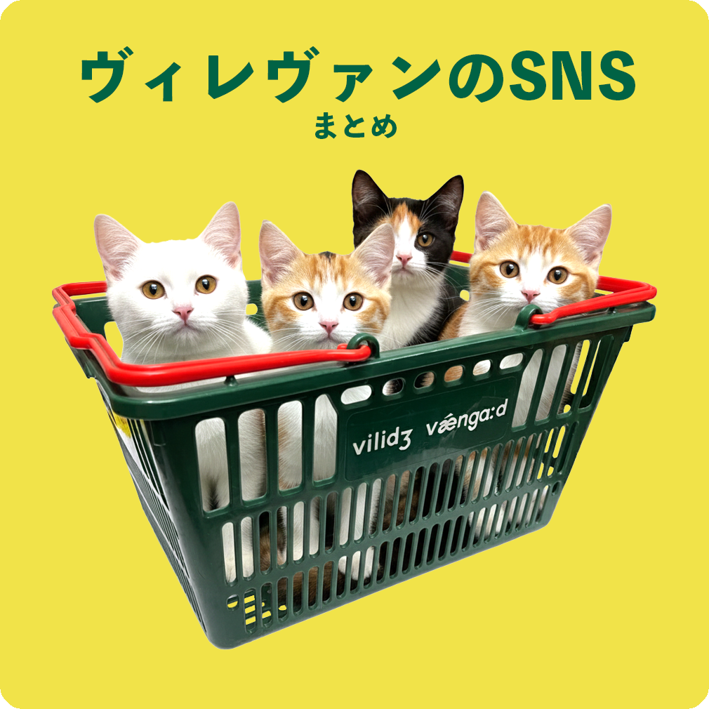 ˗ˏˋ ヴィレヴァンのいろいろまとめ ˎˊ˗のメイン画像