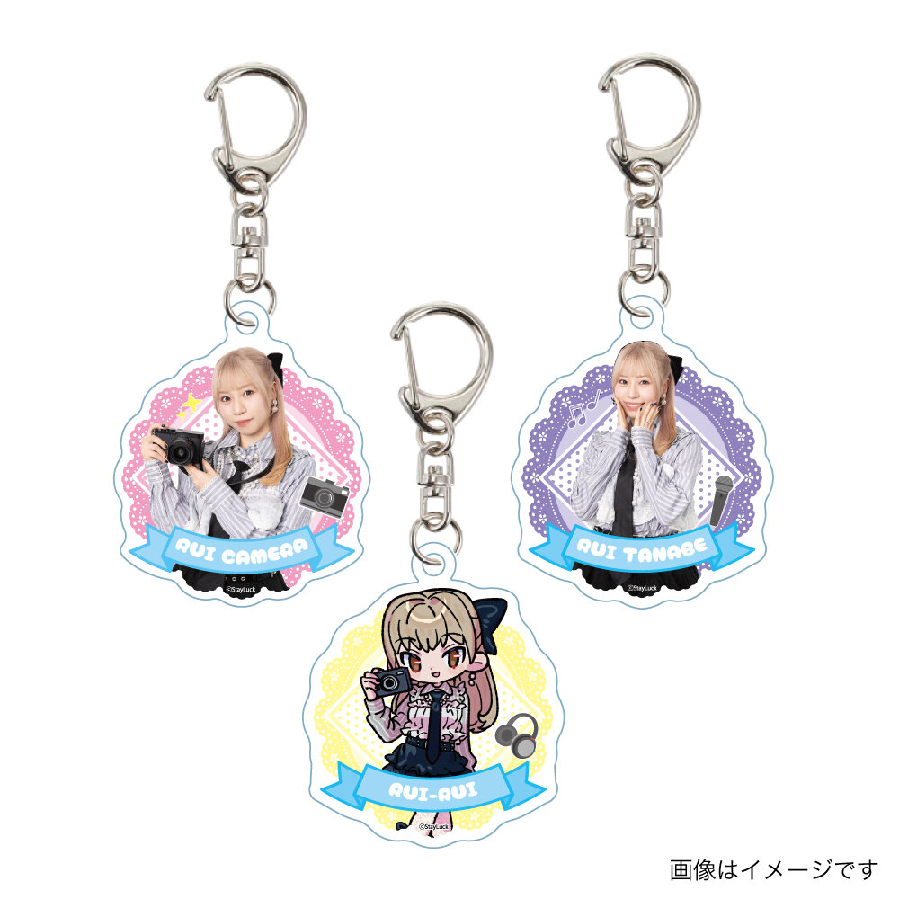アクキー 集合.jpg