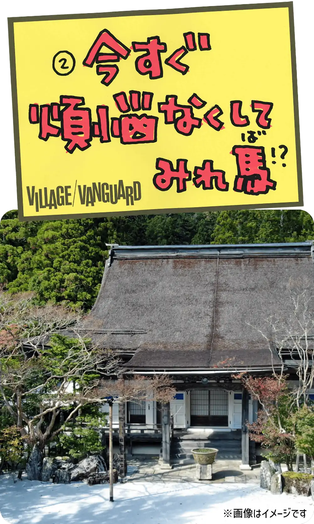 今すぐ煩悩なくしてみれ馬！？