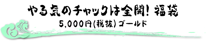 見る前に飛べ的な福袋