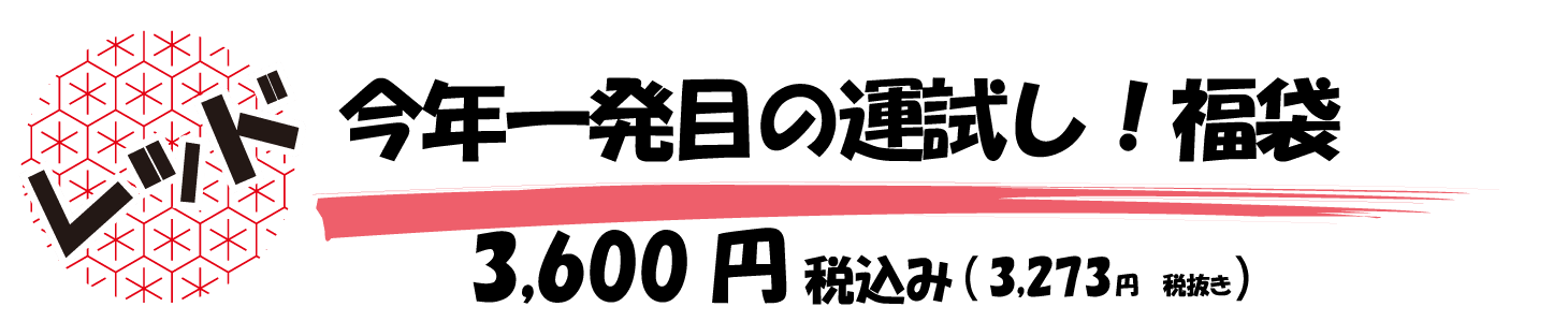 今年一発目の運試し！福袋