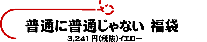 普通に普通じゃない福袋