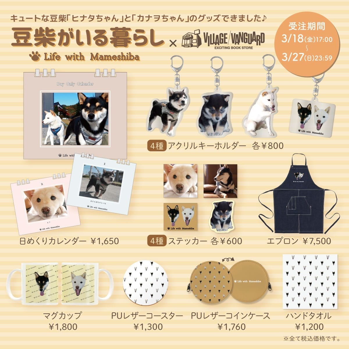 豆柴子犬 5/14 女の子♀ 売約済 | 豆柴の専門ブリーダー｜日本犬