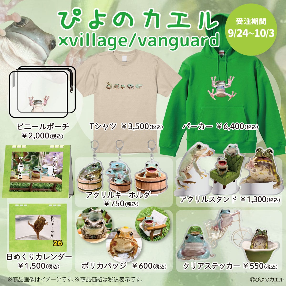 ぴよのカエル×VILLAGE/VANGUARD】～9月24日（金）よりECサイトに