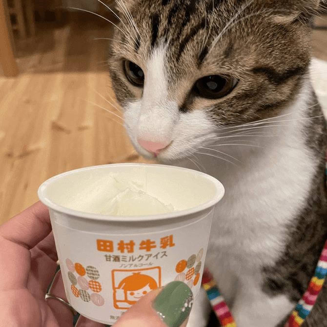 パッケージが可愛すぎる！山形県の田村牛乳を紹介します。 | 店員の