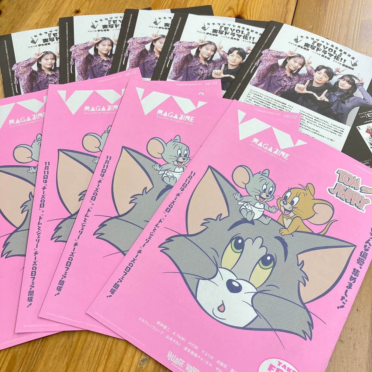 AKB48 ヴィレッジヴァンガード 生写真 チームK メンバー ヴィレヴァン AKB48 ヴィレッジヴァンガード 生写真 チームK メンバー ヴィレヴァン